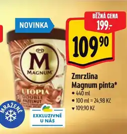 Albert Zmrzlina Magnum pinta* nabídka