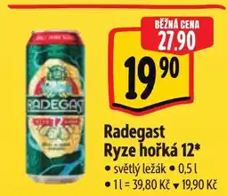 Albert Radegast Ryze hořká 12* nabídka