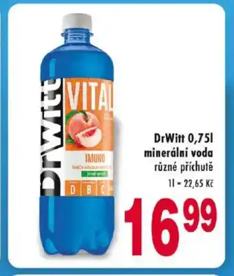 Qanto DrWitt 0,751 minerální voda nabídka