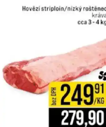 Jip Hovězí striploin/nízký roštěnec kráva nabídka