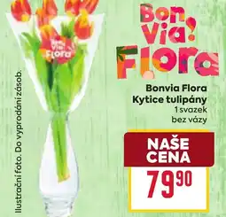 Billa Bonvia Flora Kytice tulipány nabídka