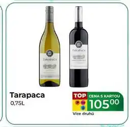 Tamda Foods Tarapaca 0,75L nabídka