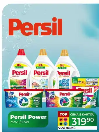 Tamda Foods Persil Power 35WL/55WL nabídka