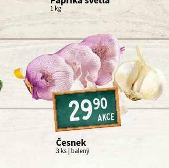 Terno Česnek nabídka