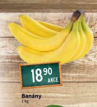 Terno Banány nabídka
