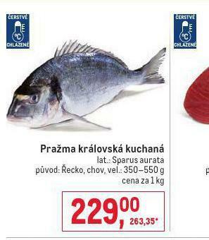 Makro Pražma královská kuchaná nabídka
