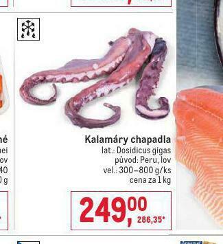 Makro Kalamáry chapadla nabídka