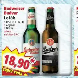 Norma Pivo budweiser budvar original nabídka