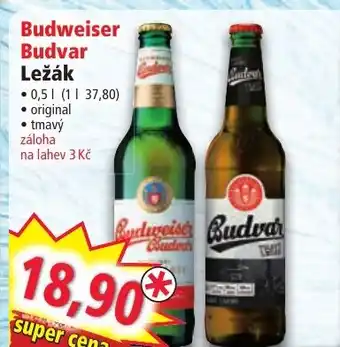 Norma Budweiser Budvar Ležák nabídka