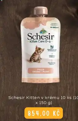 Zoohit Schesir Kitten v krému nabídka