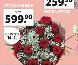 Lidl Kytice exkluzive nabídka