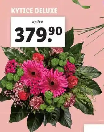 Lidl Kytice de luxe nabídka