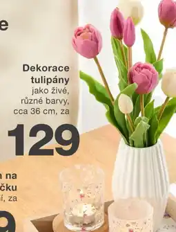 Kik Dekorace tulipány nabídka