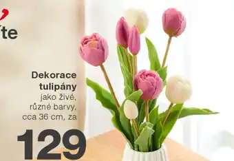 Kik Dekorace tulipány nabídka