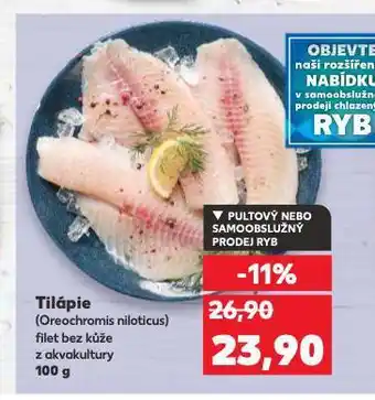 Kaufland Tilápie nabídka