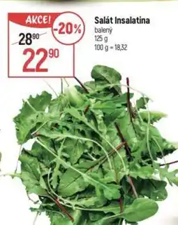 Globus Salát Insalatina nabídka