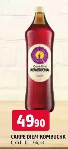 Terno Carpe diem kombucha 0,75l nabídka