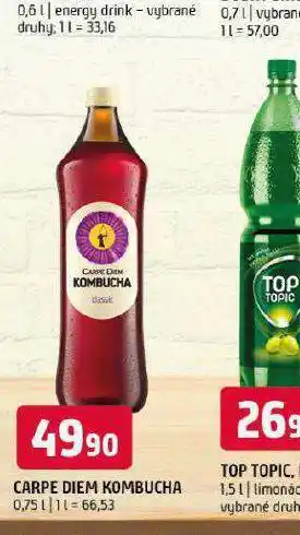 Terno Carpe diem kombucha nabídka