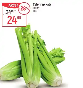 Globus Celer řapíkatý nabídka