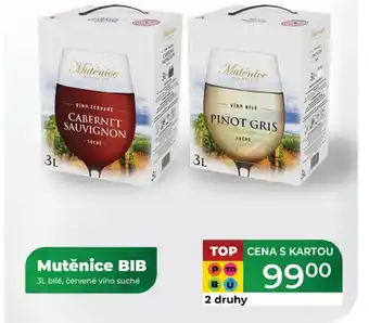 Tamda Foods Mutěnice BIB bílé, červené víno suché nabídka