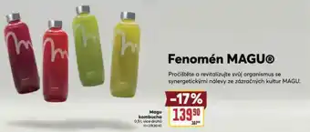 Billa Fenomén magu nabídka