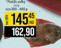 Jip Platys velký celý nabídka