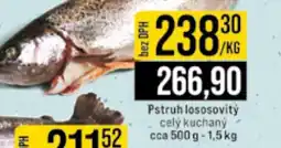 Jip Pstruh lososovitý celý kuchaný nabídka