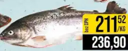 Jip Pstruh duhový celý kuchaný nabídka