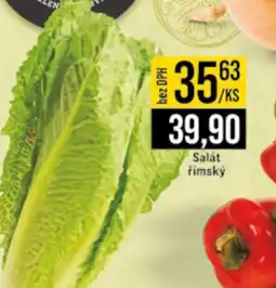 Jip Salát rimsky nabídka