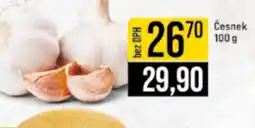 Česnek