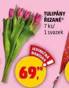 Penny Market TULIPÁNY ŘEZANÉ, 7 ks/ 1 svazek nabídka