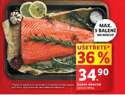 Lidl Losos obecný nabídka