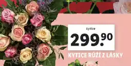 Lidl Kytice růží z lásky nabídka
