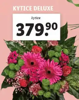 Lidl Kytice deluxe nabídka