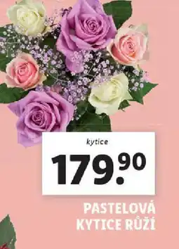 Lidl Pastelová kytice růží nabídka