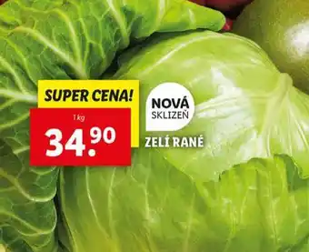 Lidl Zelí rané nabídka