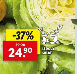 Lidl Ledový salát nabídka