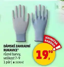 Penny Market DÁMSKÉ ZAHRADNÍ RUKAVICE různé barvy, velikost 7-9, 1 pár nabídka