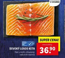 Lidl Divoký losos keta nabídka