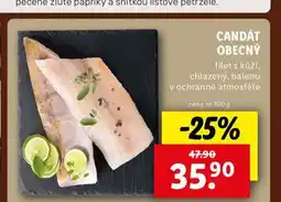 Lidl Candát obecný nabídka