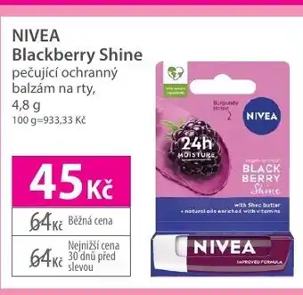 Hebe NIVEA Blackberry Shine nabídka