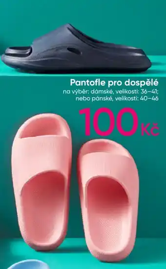 Pepco Pantofle pro dospělé nabídka