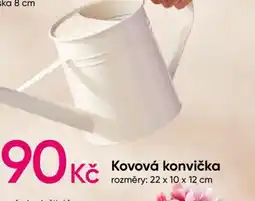 Pepco Kovová konvička nabídka