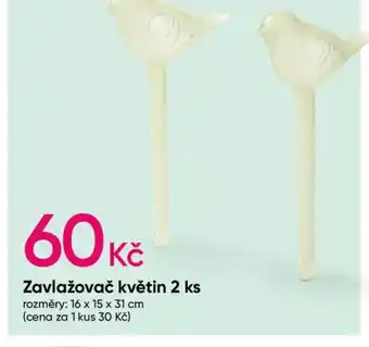 Pepco Zavlažovač květin nabídka