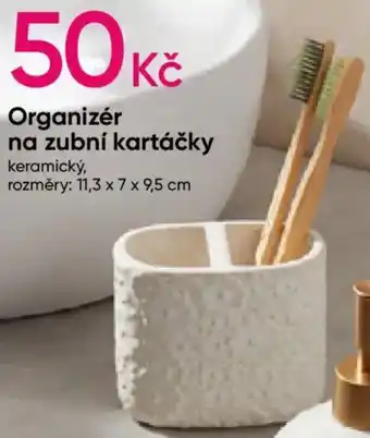 Pepco Organizér na zubní kartáčky nabídka