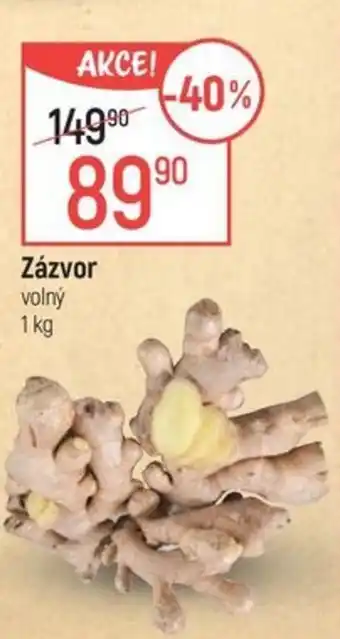 Globus Zázvor nabídka