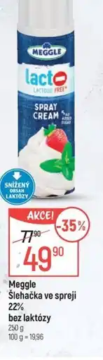 Globus MEGGLE Šlehačka ve spreji 22% bez laktózy nabídka