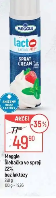 Globus MEGGLE Šlehačka ve spreji 22% bez laktózy nabídka