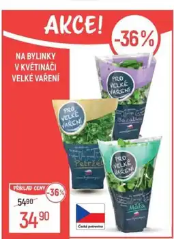 Globus Na bylinky v květináči VELKÉ VAŘENÍ nabídka