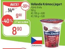 Globus HOLLANDIA Krémový jogurt nabídka